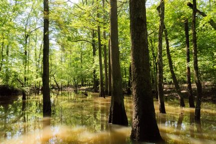 Property in Panola County, Texas