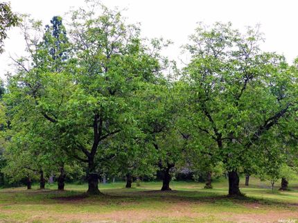 Property in Calaveras County, California