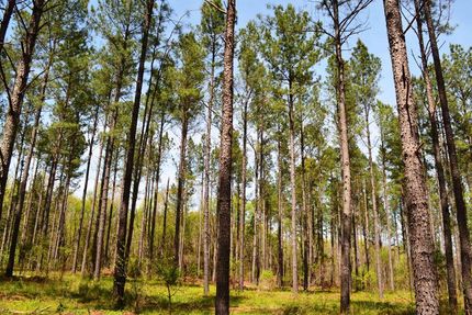 Property in Abbeville County, South Carolina