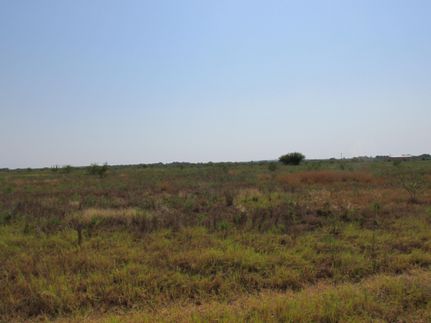 Property in Medina County, Texas