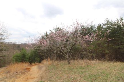Property in Lawrence County, Ohio