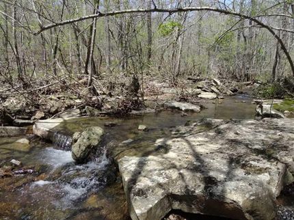 Property in Cleburne County, Arkansas