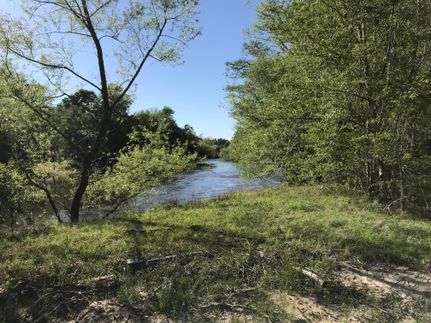 Property in Effingham County, Georgia