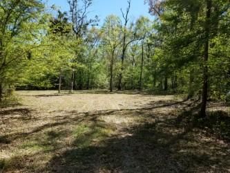 Property in Levy County, Florida