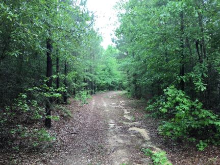 Property in Lee County, Alabama