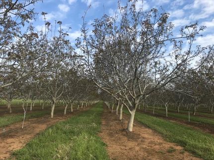 Property in Yuba County, California