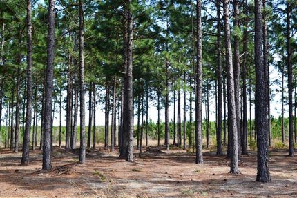 Property in Kershaw County, South Carolina