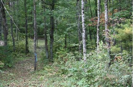 Property in Marinette County, Wisconsin