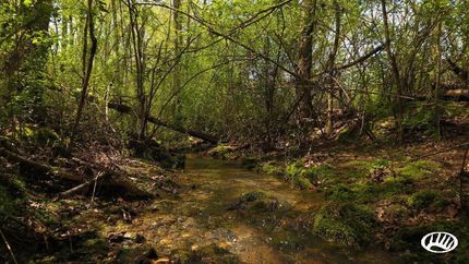 Property in DeKalb County, Alabama