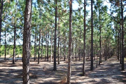 Property in Kershaw County, South Carolina