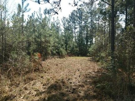 Property in Dale County, Alabama