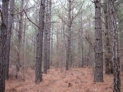 Property in Louisa County, Virginia