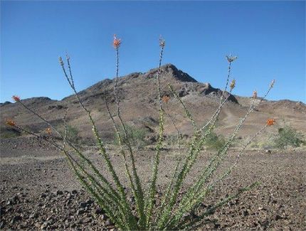 Property in Imperial County, California