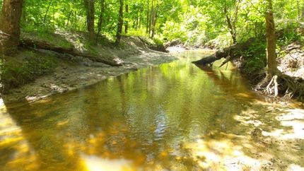 Property in Macon County, Alabama