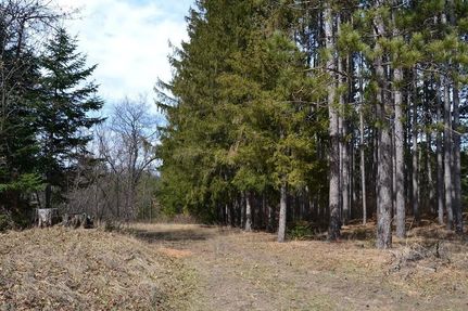 Property in Marinette County, Wisconsin