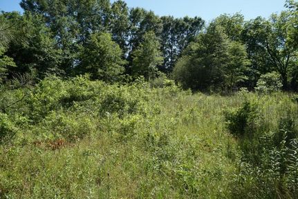 Property in Hale County, Alabama