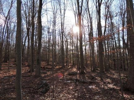 Property in Sullivan County, New York