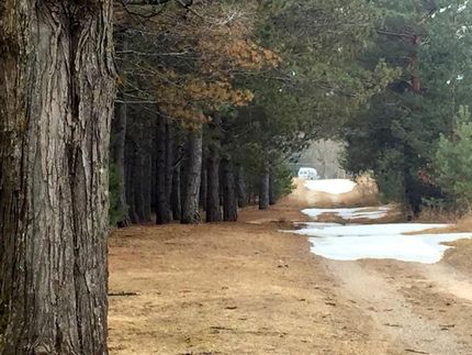 Property in Otsego County, Michigan