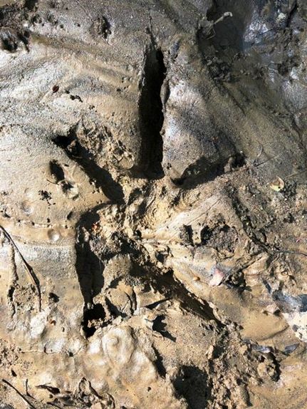 Property in Lucas County, Iowa