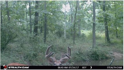 Property in Vernon County, Wisconsin