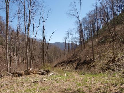 Property in Mitchell County, North Carolina