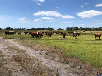 Property in Polk County, Florida