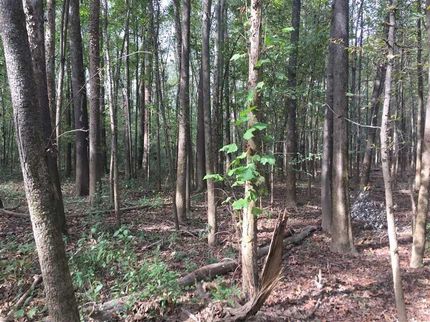 Property in Faulkner County, Arkansas