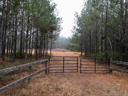 Property in Ware County, Georgia