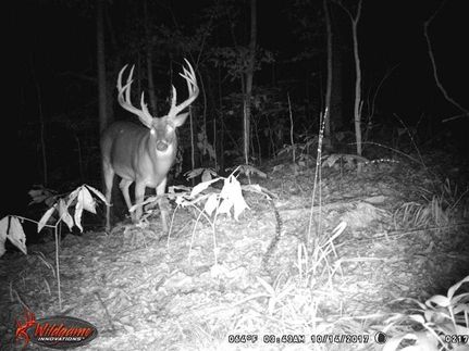 Property in Phillips County, Arkansas