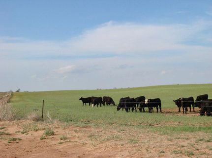 Property in Alfalfa County, Oklahoma