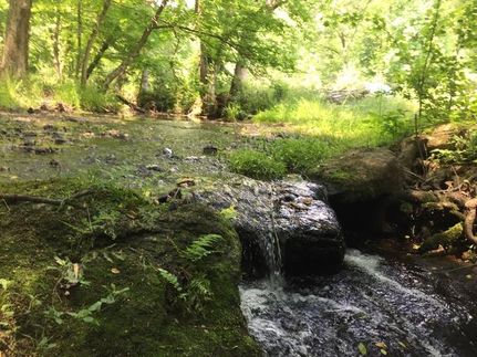 Property in Oconee County, Georgia