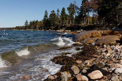 Property for sale in Washington County, Maine