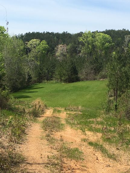 Property in Tuscaloosa County, Alabama