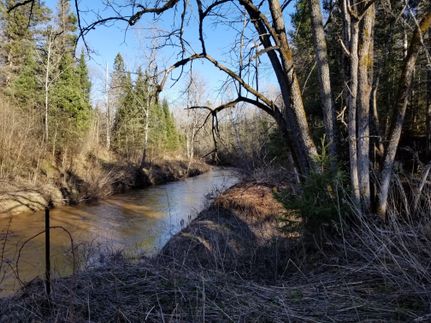 Property in Chippewa County, Michigan
