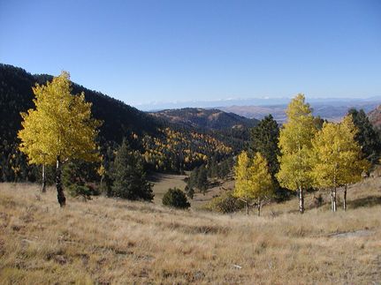 Property in Teller County, Colorado