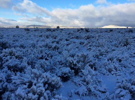 Property in Siskiyou County, California