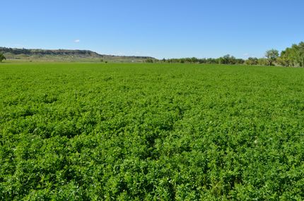 Property in Yellowstone County, Montana