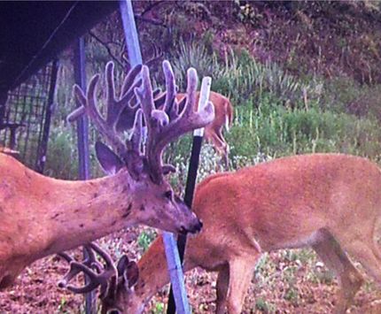 Property in Seward County, Kansas