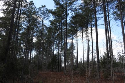 Property in York County, South Carolina