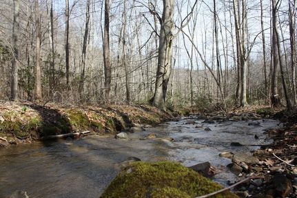 Property in Campbell County, Tennessee