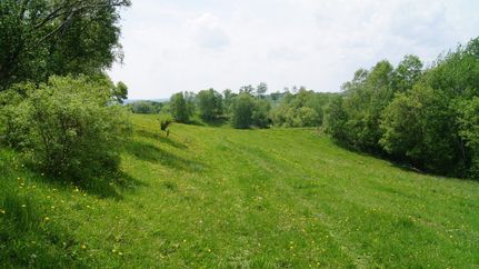 Property in Pepin County, Wisconsin