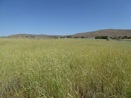 Property in Lassen County, California