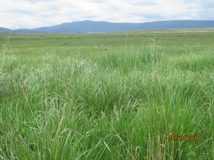 Property in Grant County, Oregon