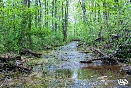 Property in Bullitt County, Kentucky