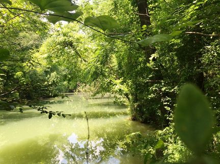 Property in Meigs County, Tennessee