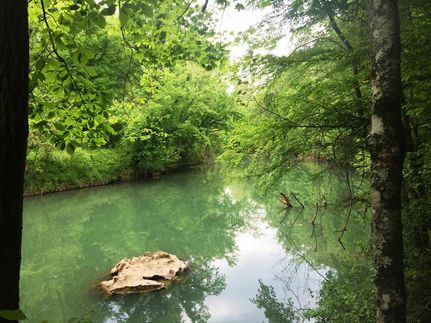 Property in Meigs County, Tennessee