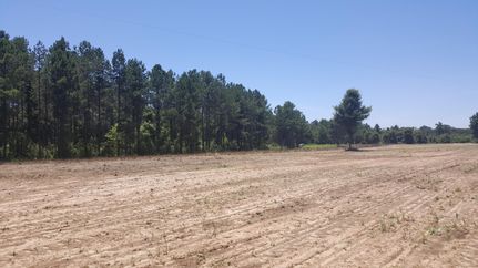 Property in Marengo County, Alabama