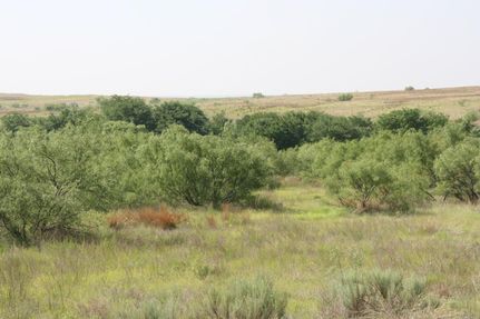 Property in Collingsworth County, Texas