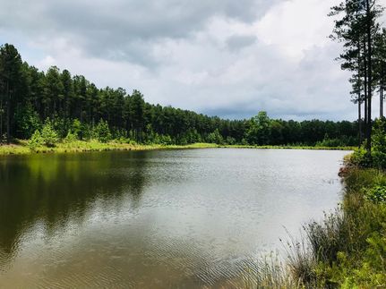 Property in Lincoln County, Georgia