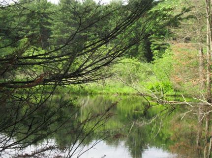 Property in Fulton County, New York